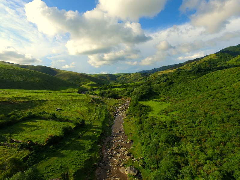 Royal Prop Argentina