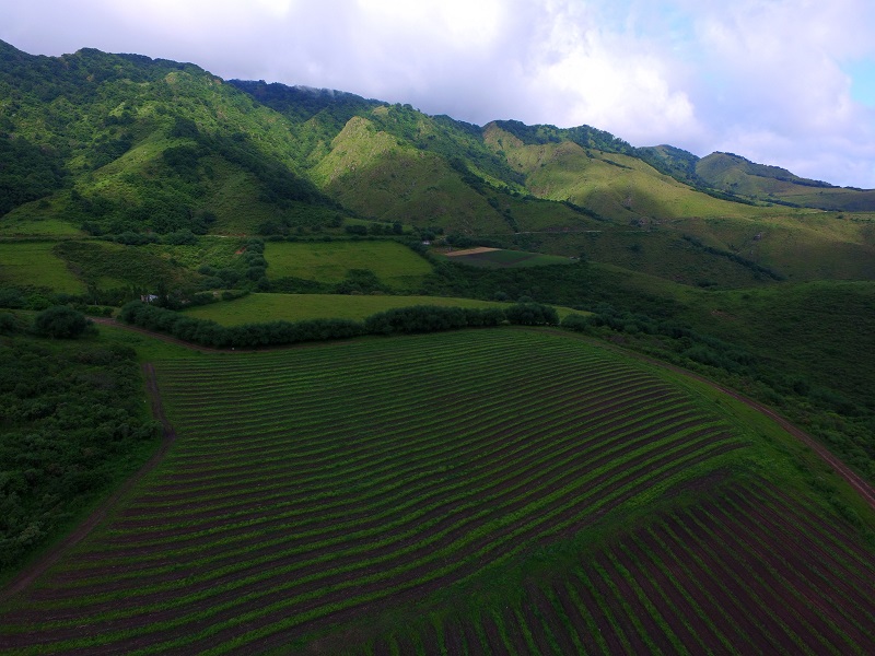 Royal Prop Argentina