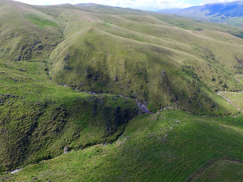 Royal Prop Argentina