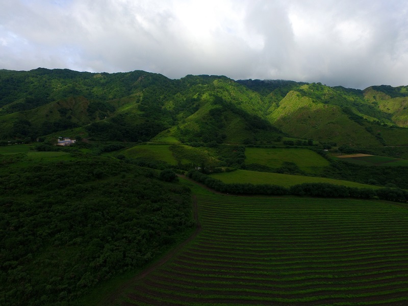 Royal Prop Argentina
