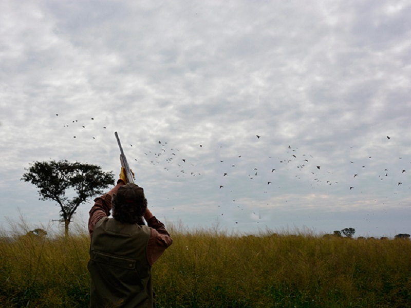 Royal Prop Argentina